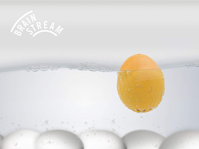 Singende Eieruhr 80er