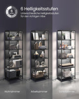 Bücherregal mit LED-Beleuchtung Ebenholzschwarz